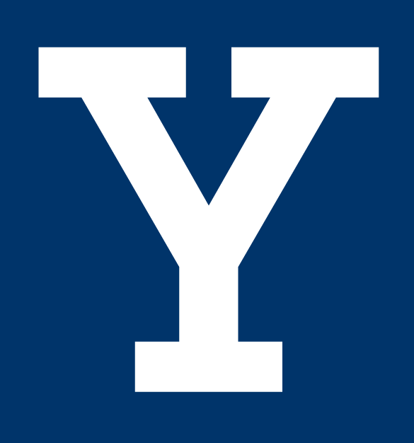 Yale Bulldogs 0-Pres Alternate Logo v2 diy DTF decal sticker